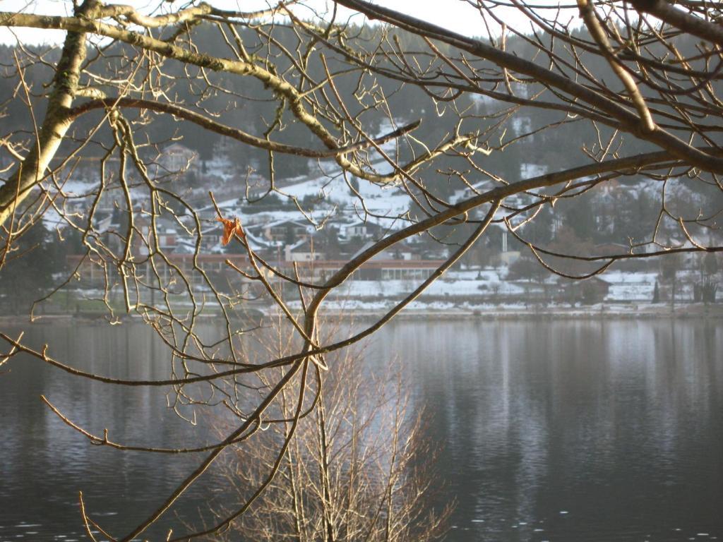 Hotel Restaurant De La Poste A Gerardmer Bilik gambar